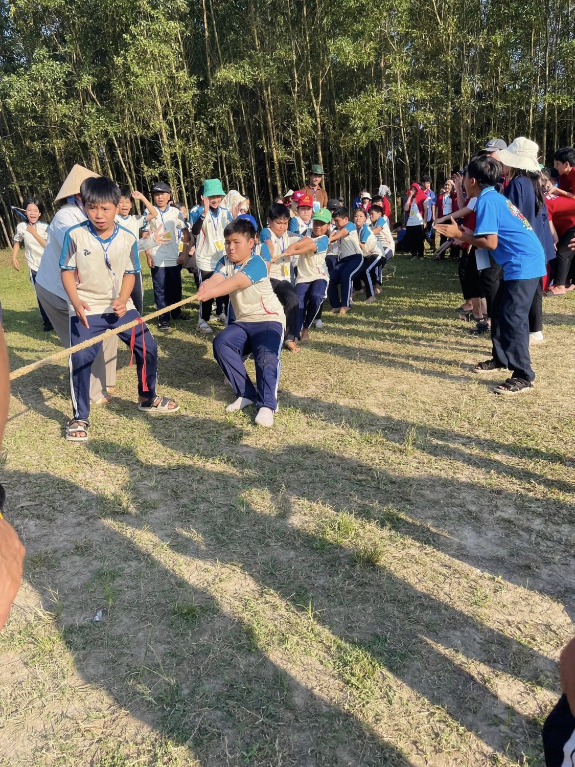 655313111 954999953704320 1774777321780631787 n